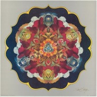 Signed David Singer Lotus Art Print
