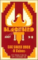 Ultra Rare Blackbird Stevie Ray Vaughan Poster